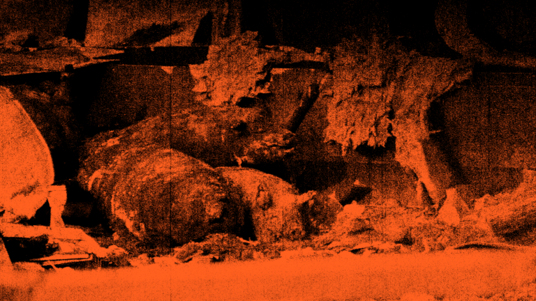 Tote Schweine von Alt-Tellin