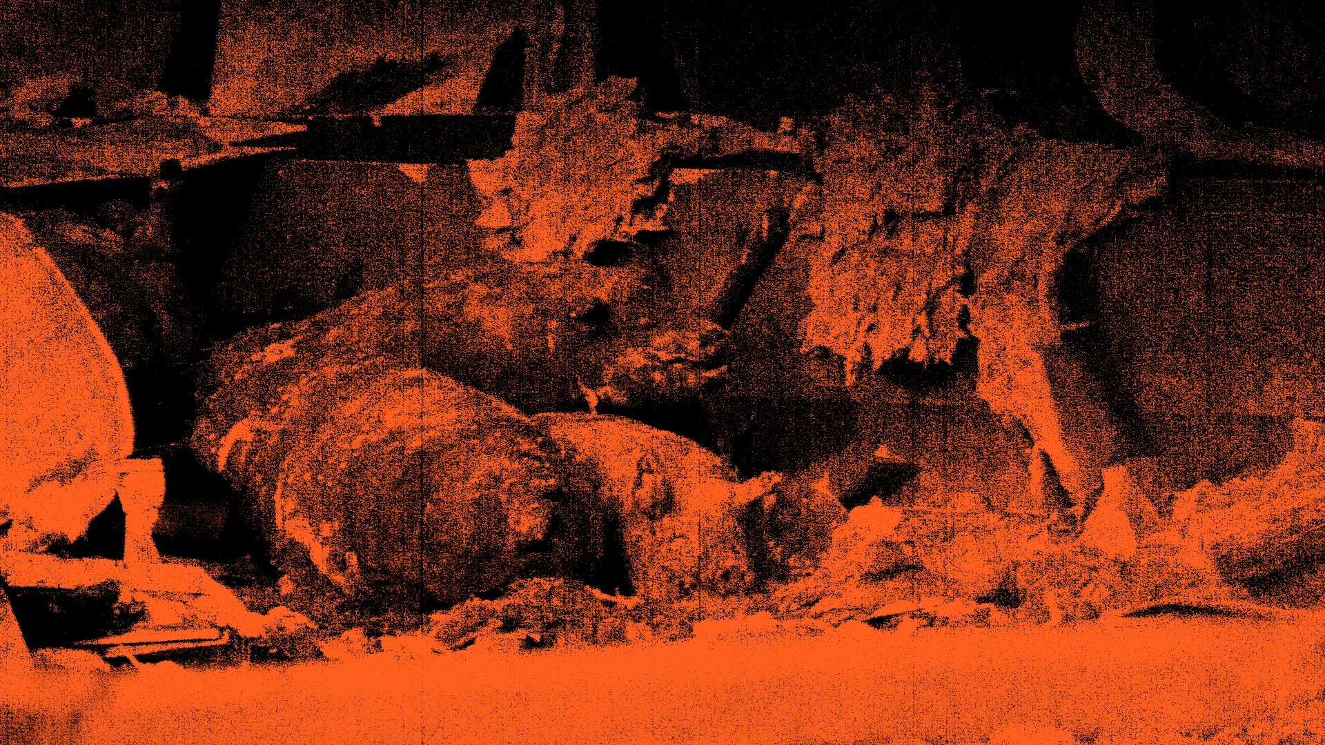 True Crime in Deutschland – unterschätzte Fälle aus der Tierindustrie