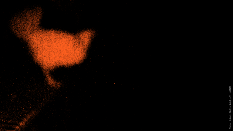 Hühner in der Industrie gelten als Objekte