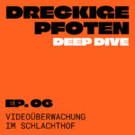 06. Deep Dive: Videoüberwachung auf dem Schlachthof