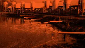 Gülle ist einer der wichtigsten und gleichzeitig auch problematischsten "Nebenprodukte" der intensiven Tierhaltung.