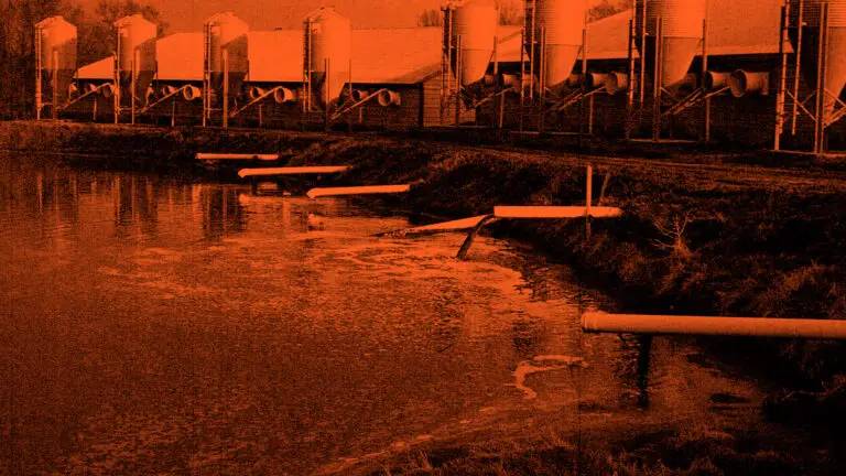 Gülle ist einer der wichtigsten und gleichzeitig auch problematischsten "Nebenprodukte" der intensiven Tierhaltung.