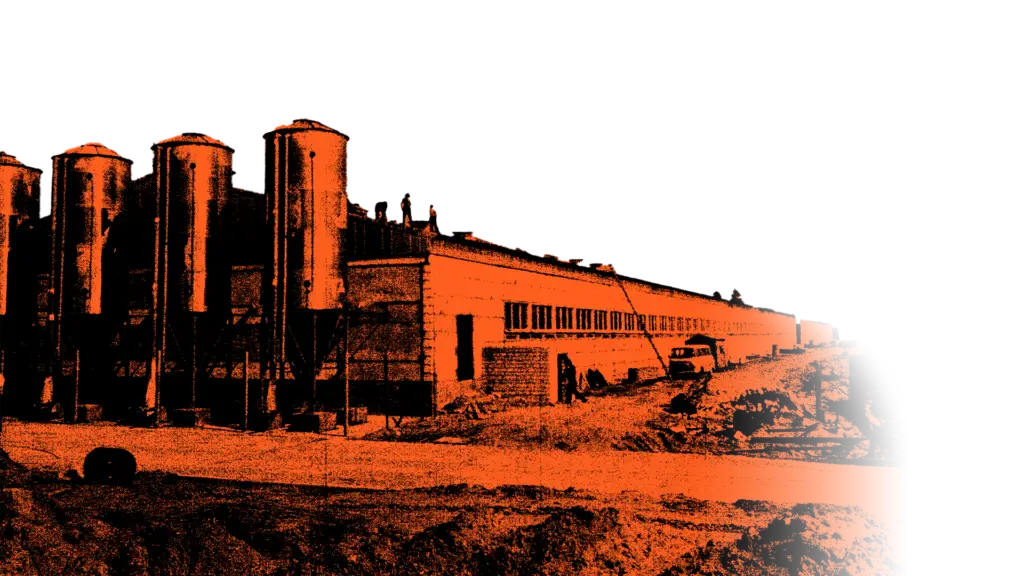 VEB Schweinezucht- und Mastkombinat Eberswalde (SZME)