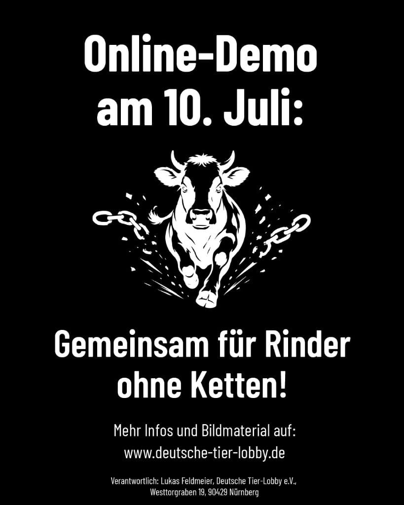 DTL-Online-Demo