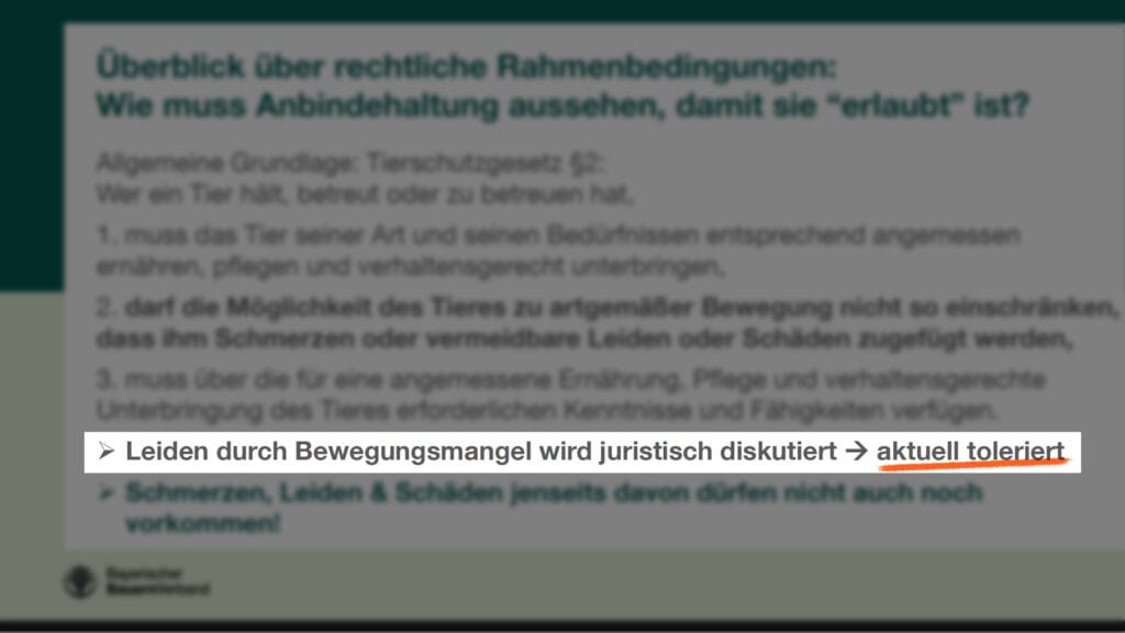 Laut Bayerischem Bauernverband: "Bewegungsmangel" ist "tolieriert" (Quelle: Folien zur Infoveranstaltion "Aber Anbindehaltung ist doch erlaubt?")